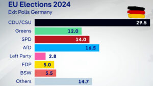 Weidel's Demand for New Elections