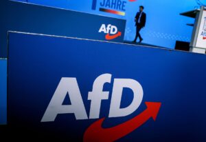 The AfD's Perspective